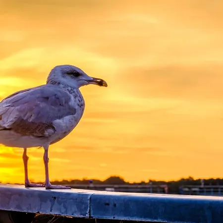 Apartment Waterkant 1 Travemünde